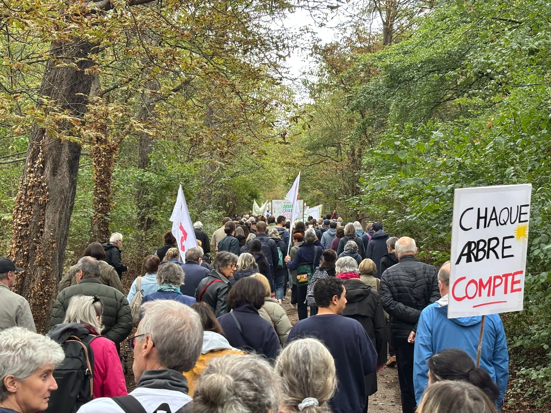 Photographie de la marche